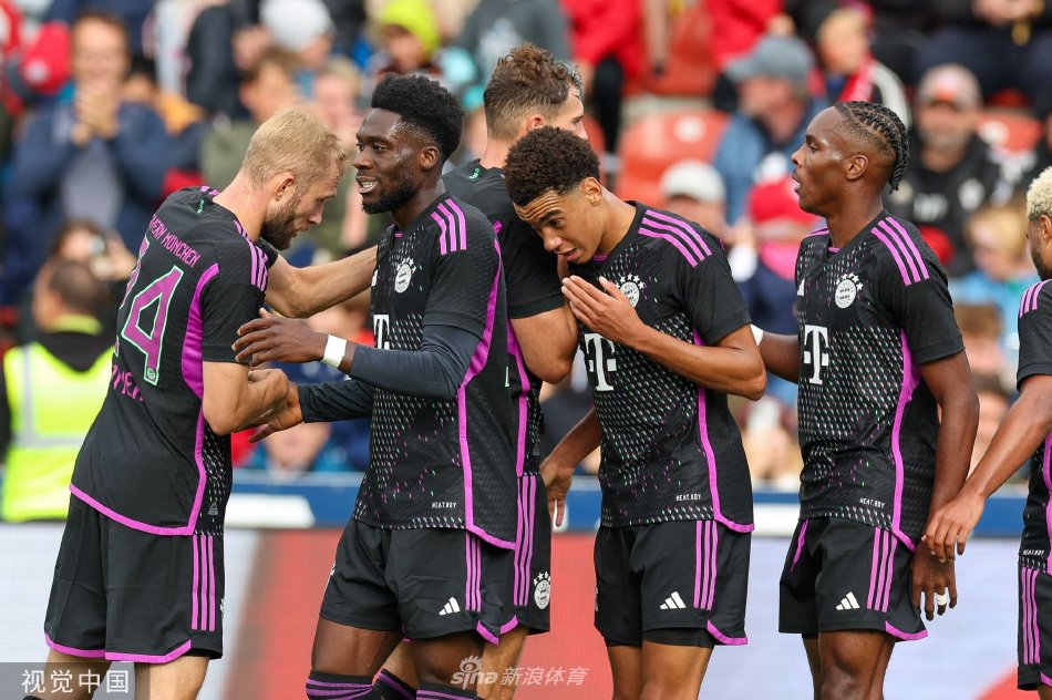 该队在过去 该队在过去